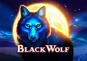 Black Wolf